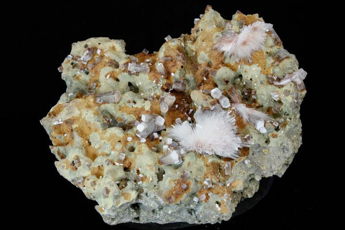 Apophyllite Crystals and Scolecite Sprays -India #176840